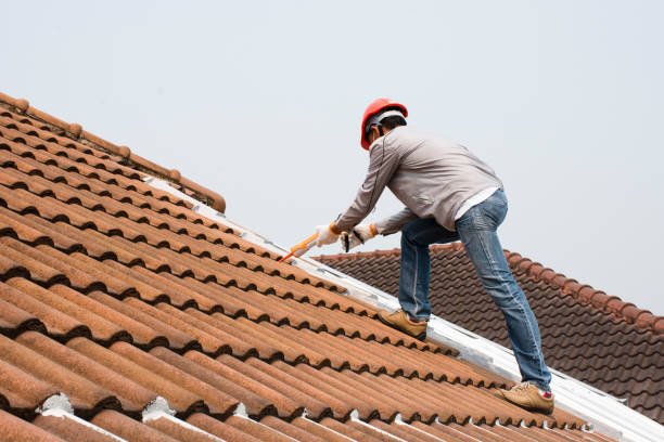 Best Sheet Metal Roofing  in Golden Grove, SC