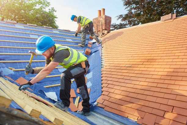 Best Roof Moss and Algae Removal  in Golden Grove, SC